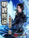 甲武传说小说封面