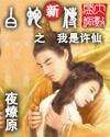 白蛇新传之我是许仙小说封面