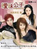 暧昧公子小说封面
