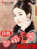 穿越胤禛福晋小说封面