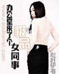 办公室来了个极品女同事小说封面