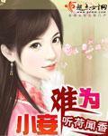 小妾难为小说封面