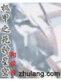 机甲之死神星空小说封面