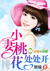小妻桃花处处开小说封面