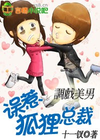 误惹狐狸总裁小说封面
