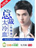 恨情劫:总裁,太冷血!小说封面