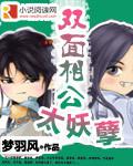 双面相公太妖孽小说封面