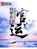 官运小说封面