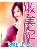 收美记小说封面
