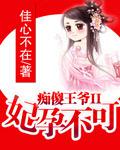 痴傻王爷II妃孕不可小说封面