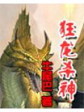 狂龙杀神小说封面