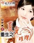 重生之夏光璀璨小说封面