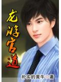龙游官道小说封面