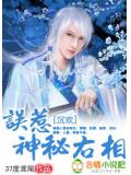 沉欢:误惹神秘右相小说封面
