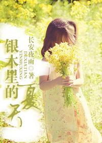 银木星的夏天小说封面