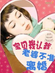 宝贝我认栽:老婆不准离婚