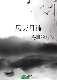 凤天月流小说封面