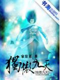 独傲九天小说封面