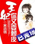 王妃你又耍赖皮小说封面