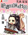 无良宝宝：肥婆妈咪是我的小说封面