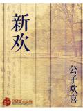 新欢小说封面