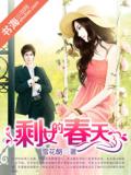 剩女的春天小说封面