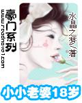 豪门系列:小小老婆18岁小说封面