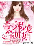 帝少私宠宝贝妻小说封面