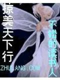 掠美天下行小说封面