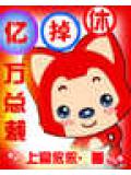 休掉亿万总裁小说封面