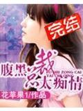 腹黑总裁太痴情小说封面