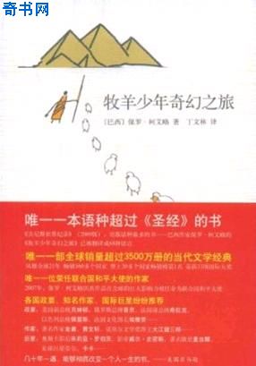 牧羊少年奇幻之旅小说封面