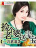 捡个老婆送宝宝小说封面