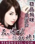 极品妈咪:天,妈咪好妖娆!小说封面