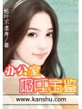 办公室极乐宝鉴小说封面