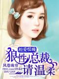 狼性总裁请温柔小说封面