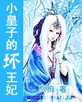 小皇子的坏王妃小说封面