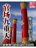 官场九重天小说封面