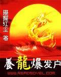 养龙爆发户小说封面