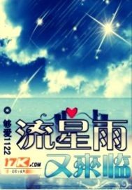 流星雨又来临小说封面