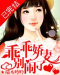 乖乖娇妻，别闹了小说封面