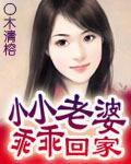 小小老婆，乖乖回家小说封面