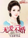 无爱不婚小说封面
