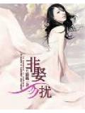 非娶勿扰小说封面