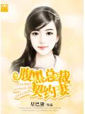 腹黑总裁契约妻小说封面