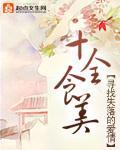 十全食美小说封面