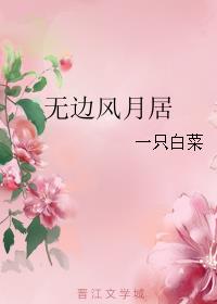 无边风月居小说封面