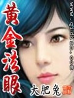 黄金法眼小说封面