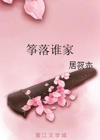 筝落谁家小说封面