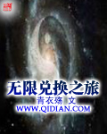 无限兑换之旅小说封面